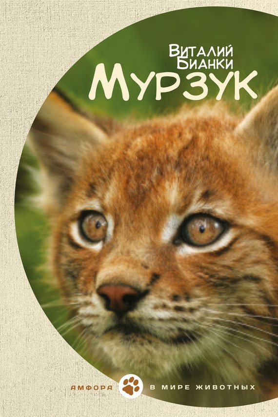 Обложка книги «Мурзук»