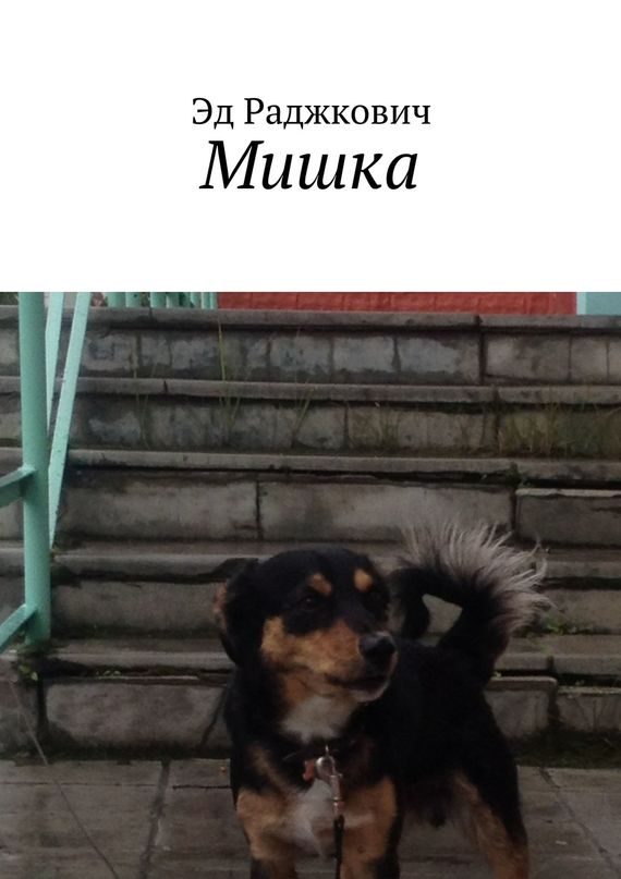 Обложка книги «Мишка»