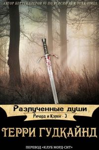 Обложка книги «Разлученные души»