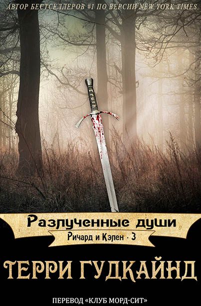 Обложка книги «Разлученные души»
