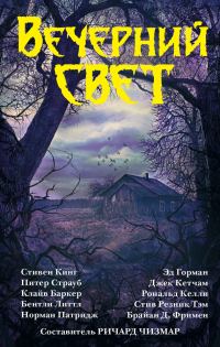 Обложка книги «Вечерний свет»