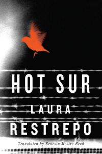 Обложка книги «Hot Sur»
