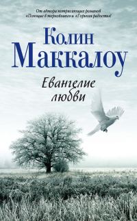 Обложка книги «Евангелие любви»