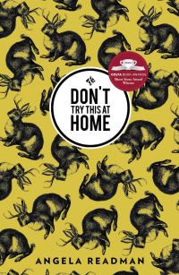 Обложка книги «Don't Try This at Home»