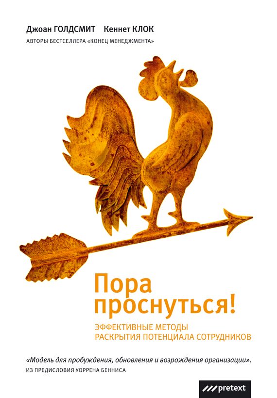 Обложка книги «Пора проснуться»