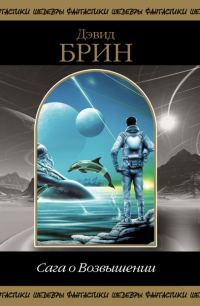 Обложка книги «Сага о возвышении»