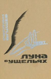 Обложка книги «Луна в ущельях»