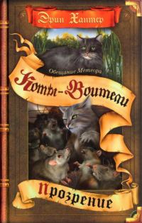 Обложка книги «Обещание Метеора. Книга 2. Прозрение»