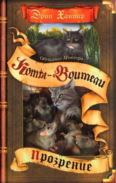 Обложка книги «Обещание Метеора. Книга 2. Прозрение»