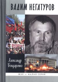 Обложка книги «Вадим Негатуров»