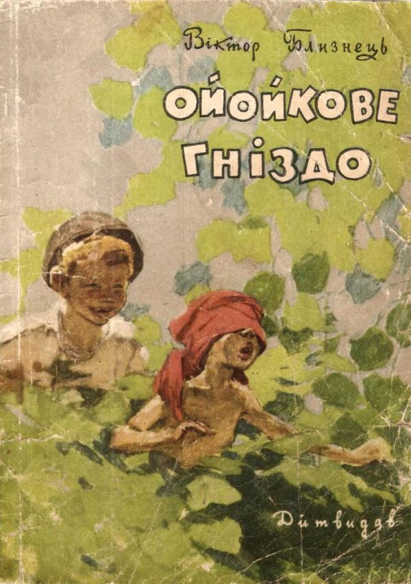 Обложка книги «Ойойкове гніздо»