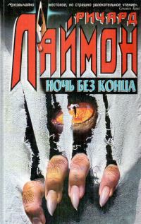 Обложка книги «Ночь без конца»