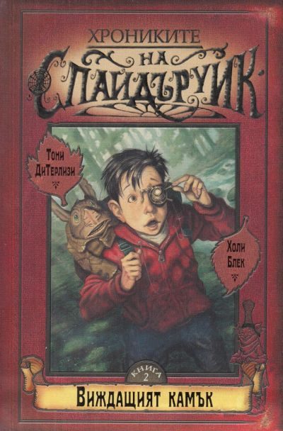 Обложка книги «Виждащият камък»