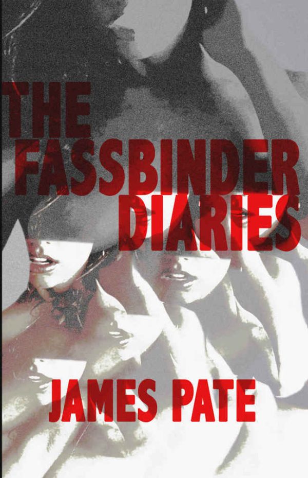 Обложка книги «The Fassbinder Diaries»