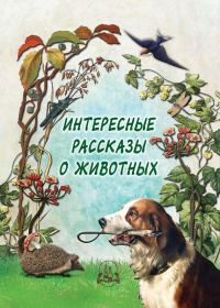 Обложка книги «Интересные рассказы о животных»