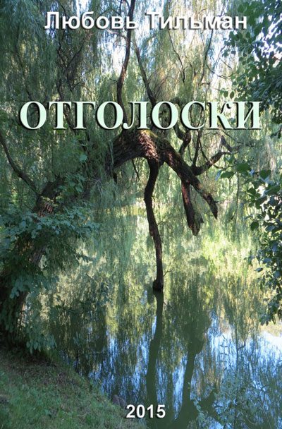 Обложка книги «Отголоски»