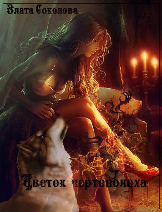 Обложка книги «Цветок чертополоха»