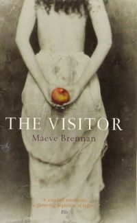 Обложка книги «The Visitor»