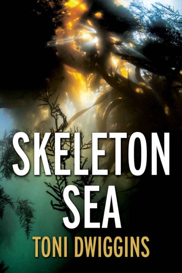 Обложка книги «Skeleton Sea»