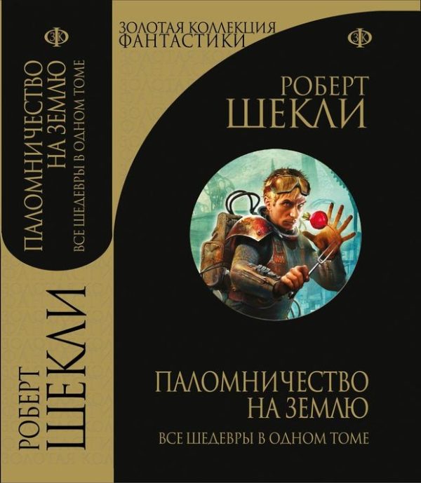Обложка книги «Паломничество на Землю»