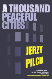 Обложка книги «A Thousand Peaceful Cities»