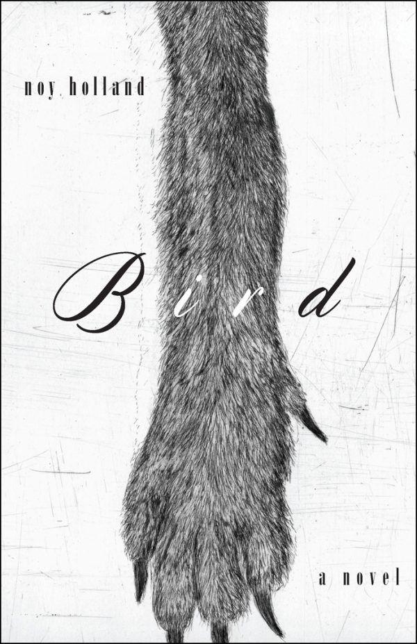 Обложка книги «Bird»