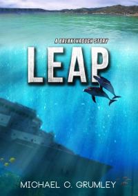 Обложка книги «Leap»