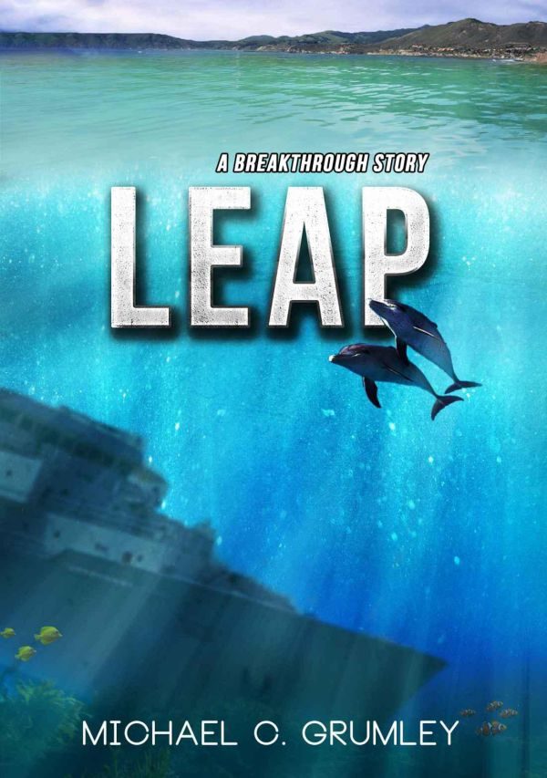 Обложка книги «Leap»
