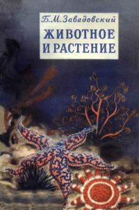 Обложка книги «Животное и растение»