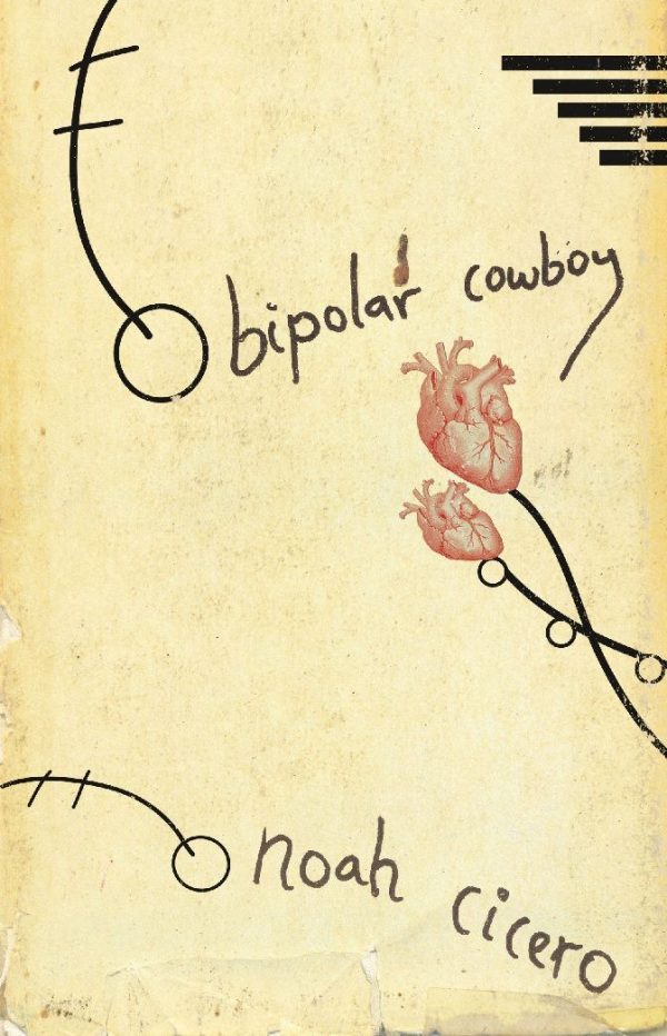 Обложка книги «Bipolar Cowboy»
