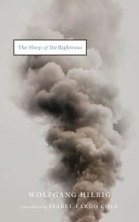 Обложка книги «The Sleep of the Righteous»