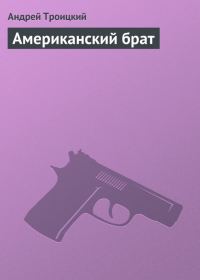 Обложка книги «Американский брат»