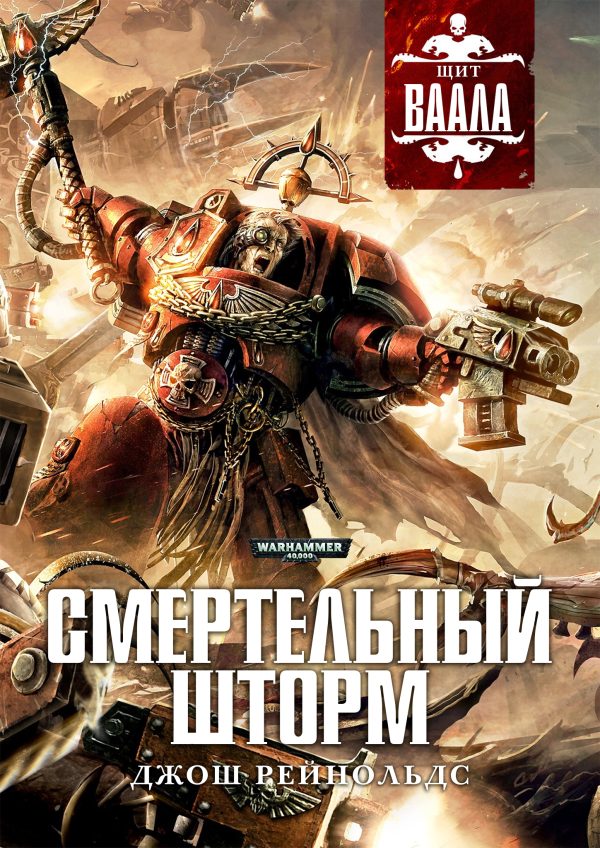 Обложка книги «Смертельный шторм»