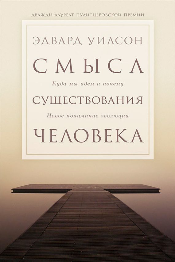 Обложка книги «Смысл существования человека. Куда мы идём и почему. Новое понимание эволюции»