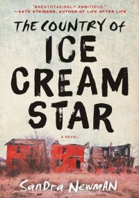 Обложка книги «The Country of Ice Cream Star»