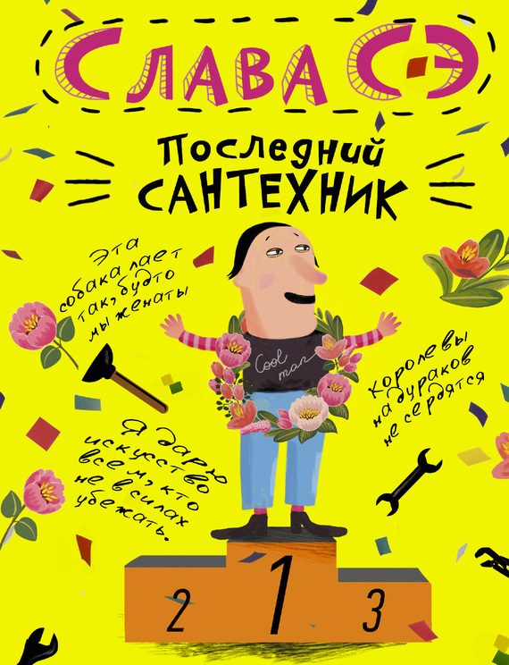 Обложка книги «Последний сантехник»