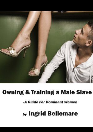 Обложка книги «Owning and Training a Male Slave»