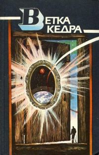 Обложка книги «Здесь все иначе, иначе, иначе…»