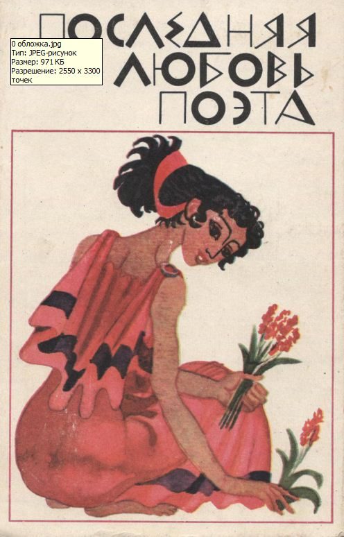 Обложка книги «Последняя любовь поэта»