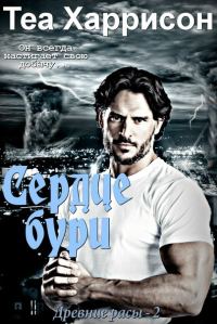 Обложка книги «Сердце бури»