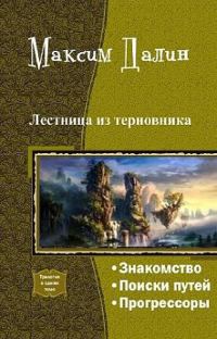 Обложка книги «Лестница из терновника»