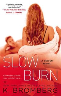 Обложка книги «Slow Burn»