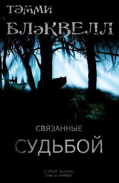 Обложка книги «Связанные судьбой»