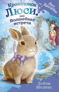 Обложка книги «Крольчонок Люси, или Волшебная встреча»