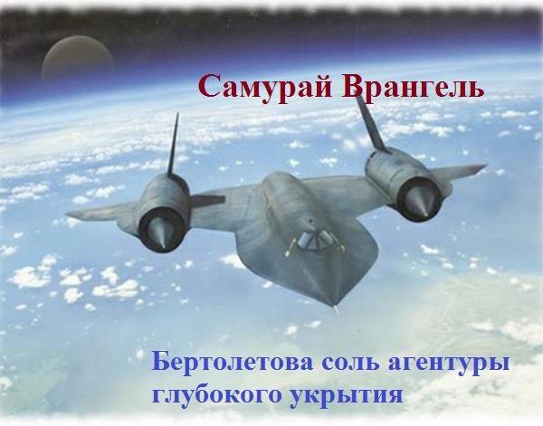 Обложка книги «Бертолетова соль агентуры глубокого укрытия»