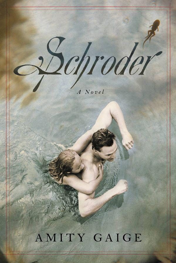 Обложка книги «Schroder»