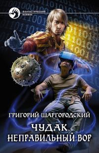 Обложка книги «Неправильный вор»