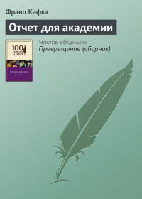 Обложка книги «Отчет для академии»