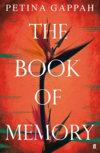 Обложка книги «The Book of Memory»
