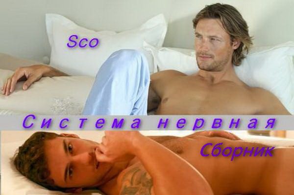 Обложка книги «Система нервная»